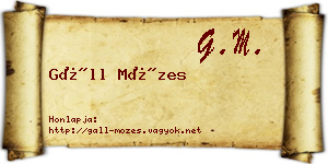 Gáll Mózes névjegykártya